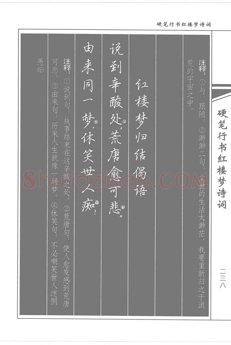 吴玉生硬笔行书字帖,摘自吴玉生硬笔行书红楼梦诗词