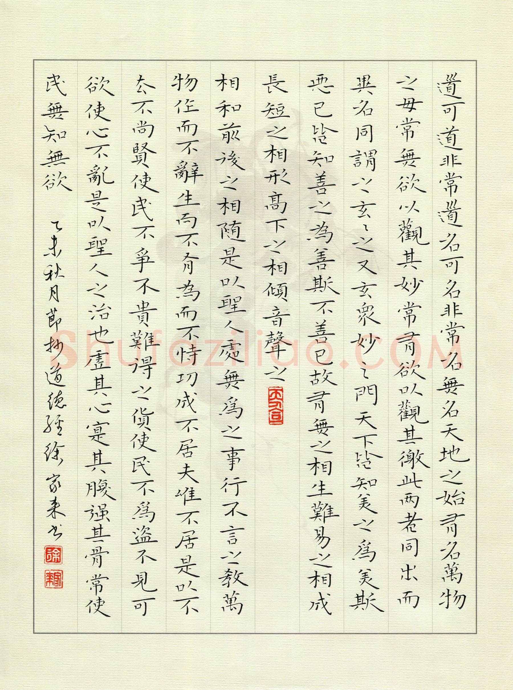 徐家来硬笔楷书节抄道德经,徐家来硬笔书法作品
