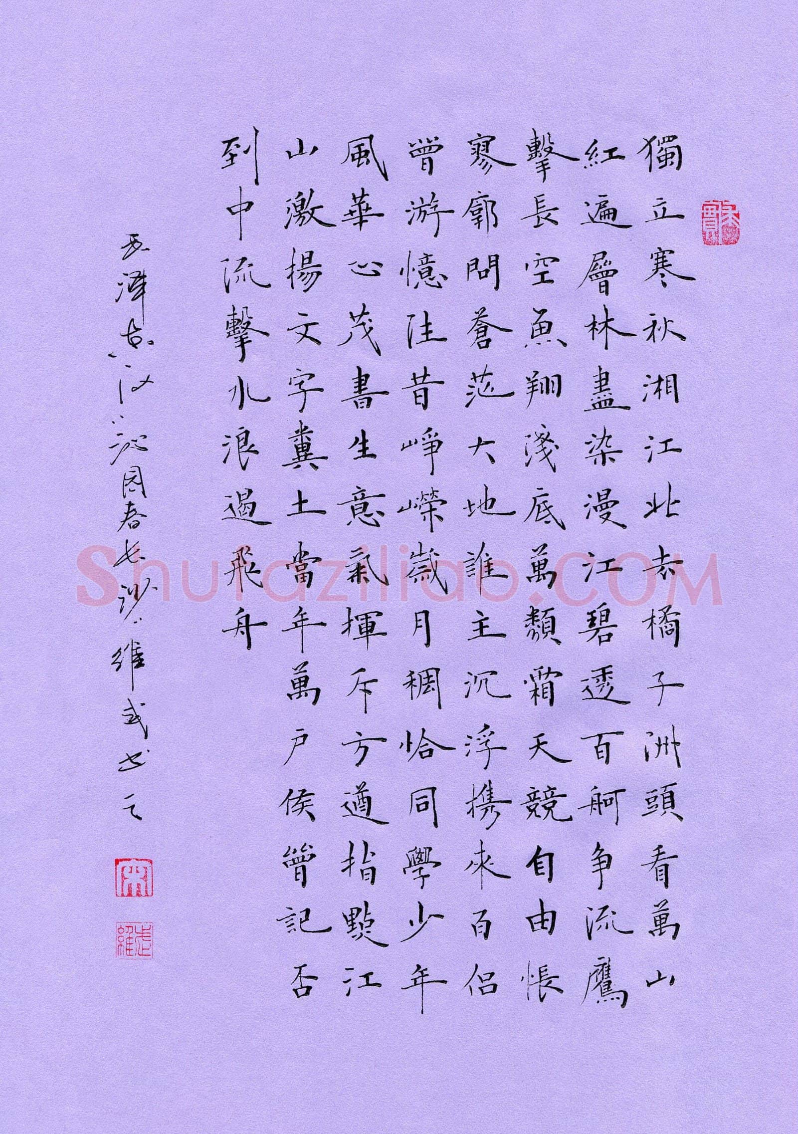 宋维武硬笔楷书毛泽东词沁园春长沙一首,宋维武硬笔书法作品
