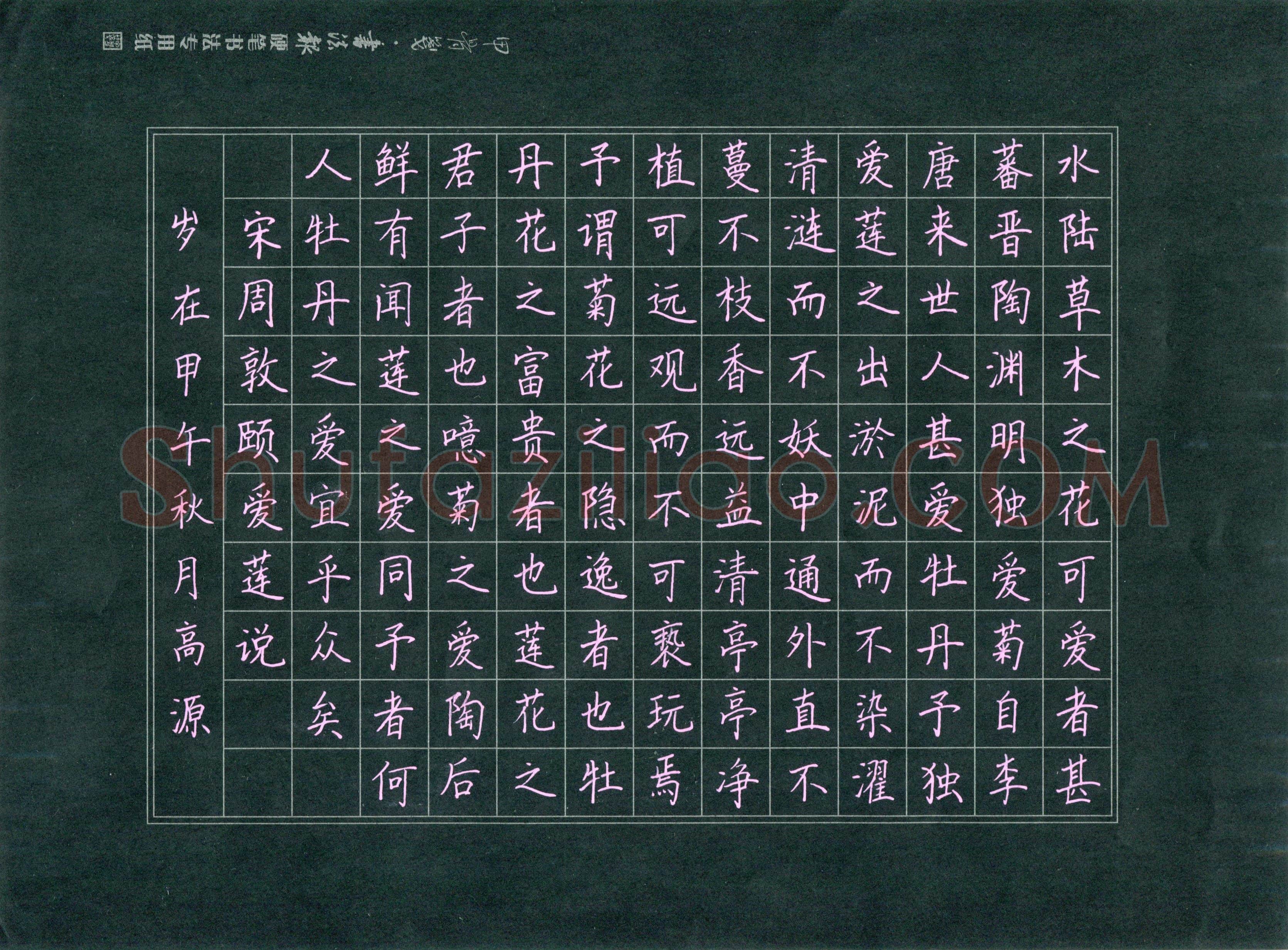 高源(少儿组 14岁 银奖)硬笔书法大赛获奖作品,高源硬笔书法作品