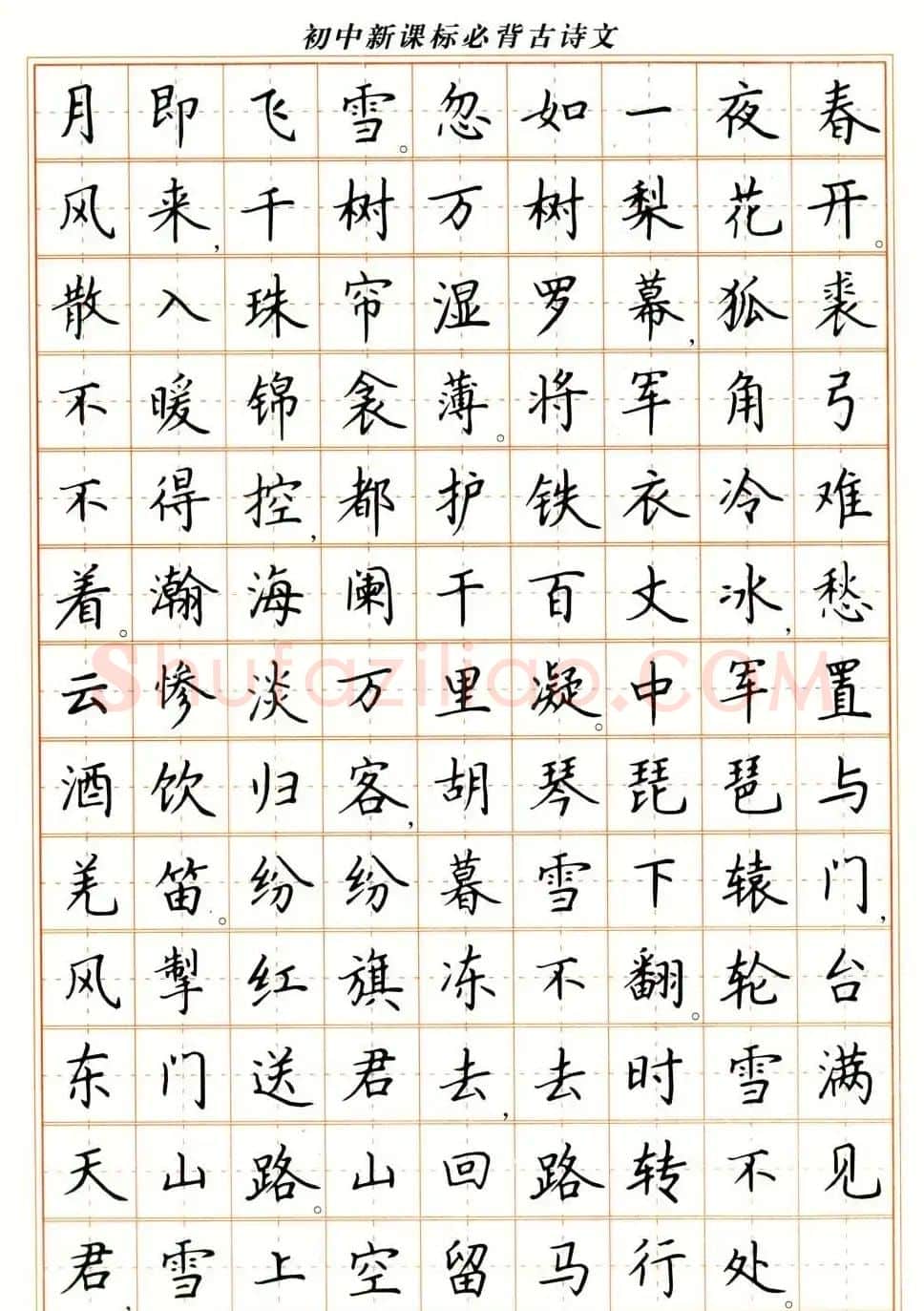 卢中南钢笔楷书字帖《初中新课标必背古诗文》 | 钢笔书法字帖