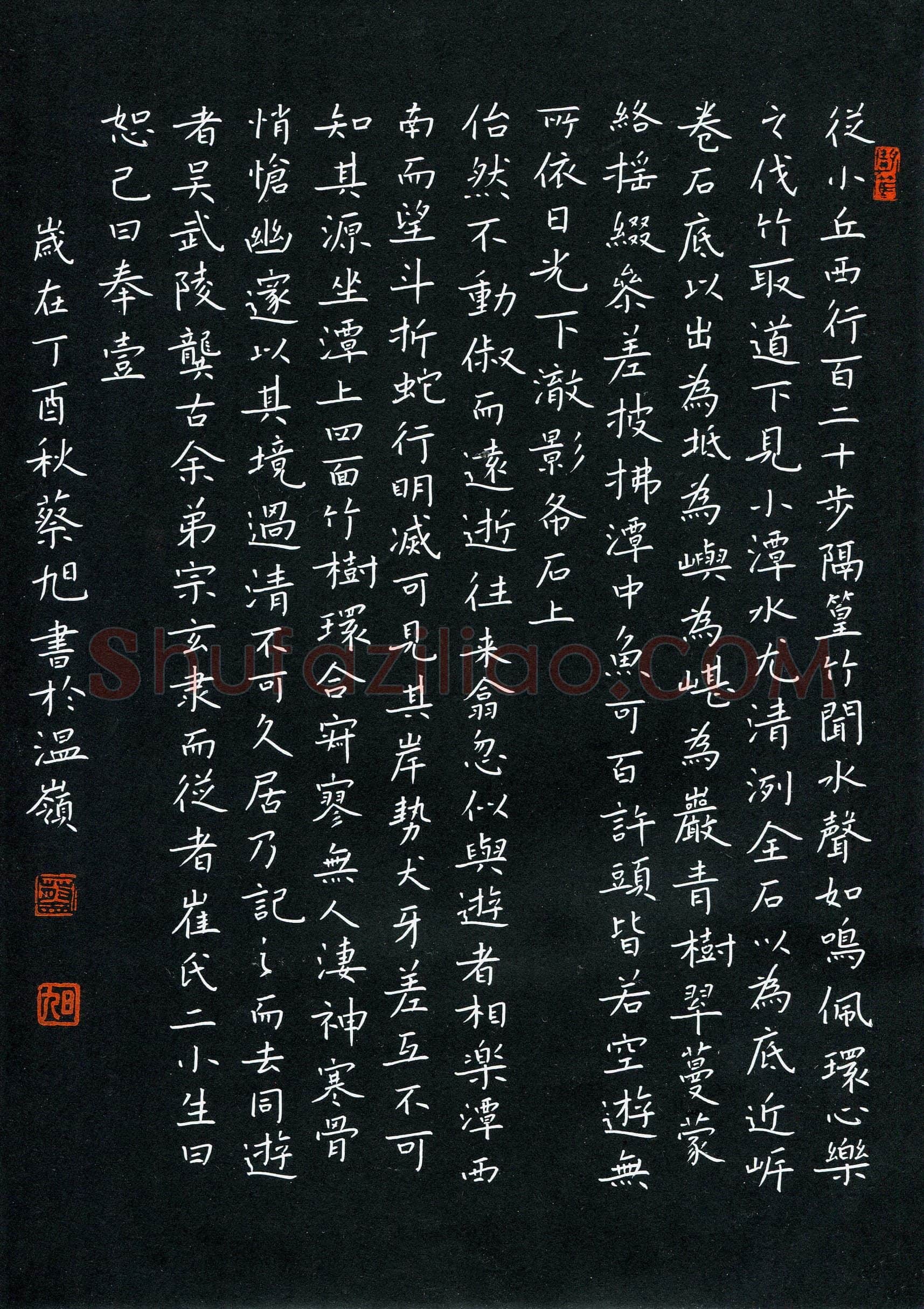 蔡旭(成人组 优秀奖)硬笔书法大赛获奖作品,蔡旭硬笔书法作品
