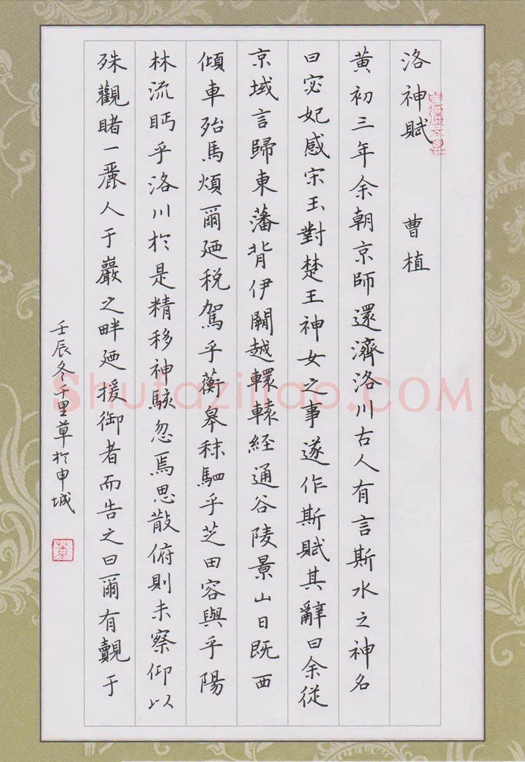 董川硬笔楷书洛神赋节选,董川硬笔书法作品