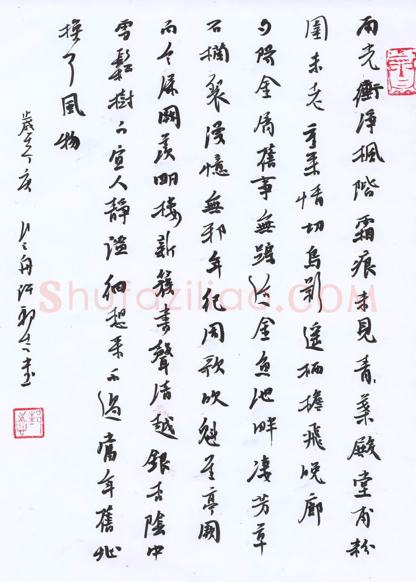 许邦志硬笔行书雨光,许邦志硬笔书法作品