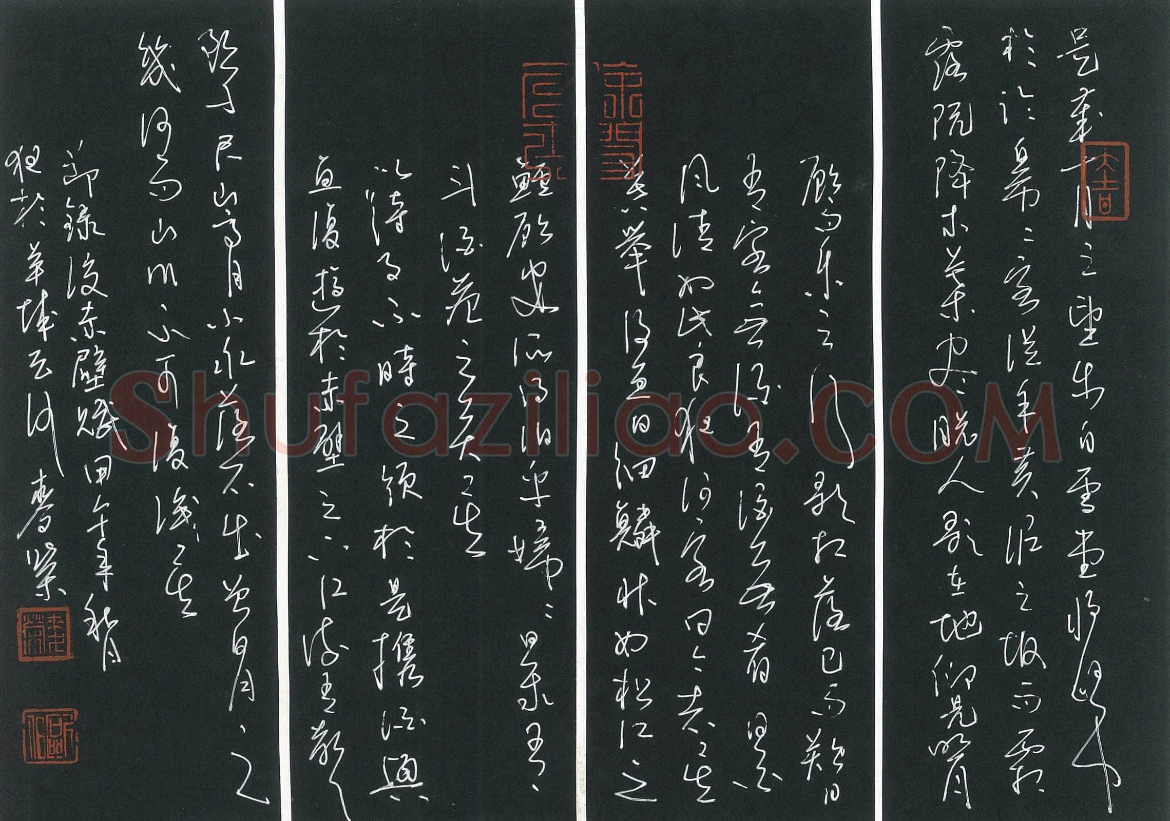 麦荣硬笔草书节录后赤壁赋,麦荣硬笔书法作品