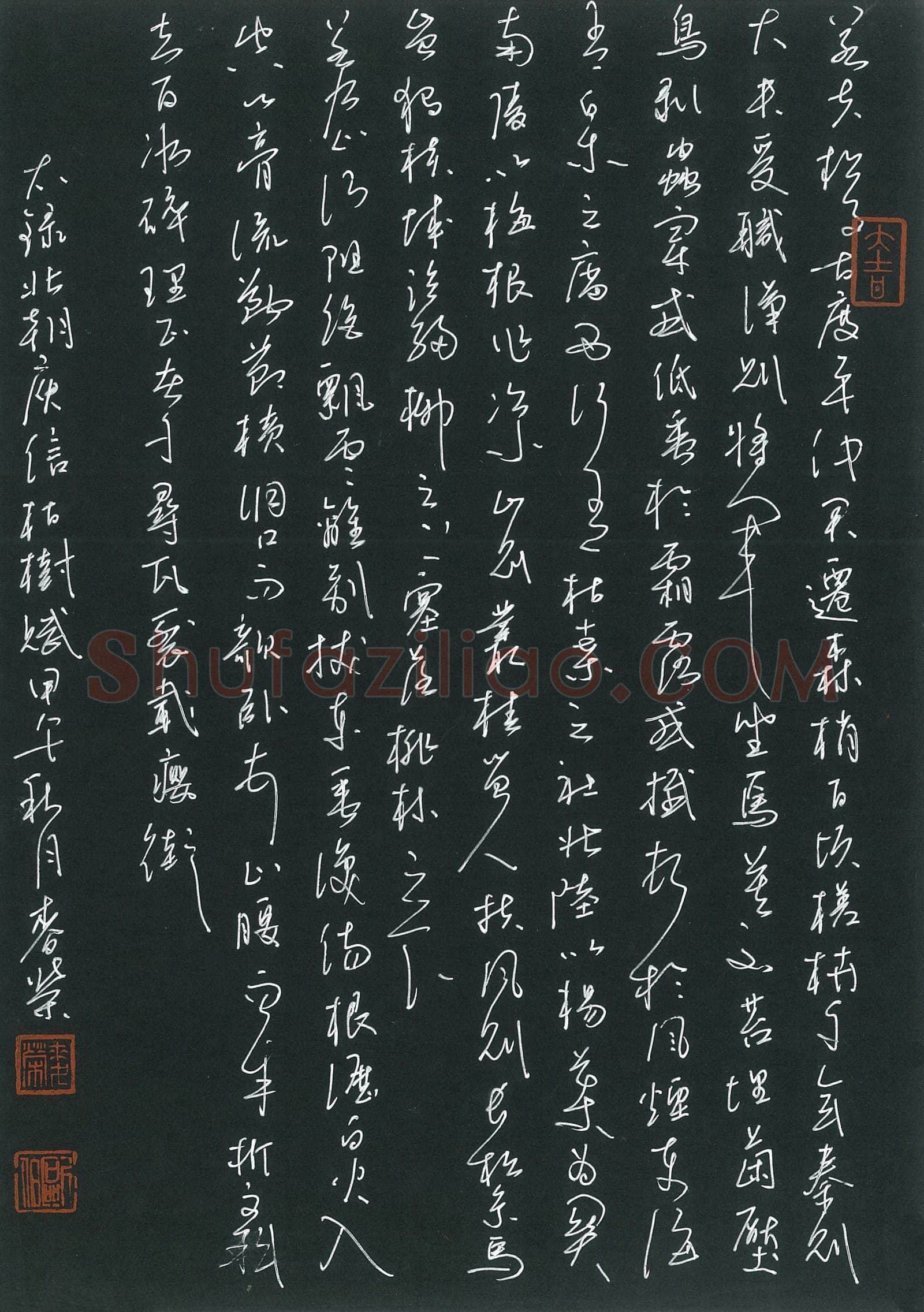 麦荣硬笔草书庾信枯树赋,麦荣硬笔书法作品
