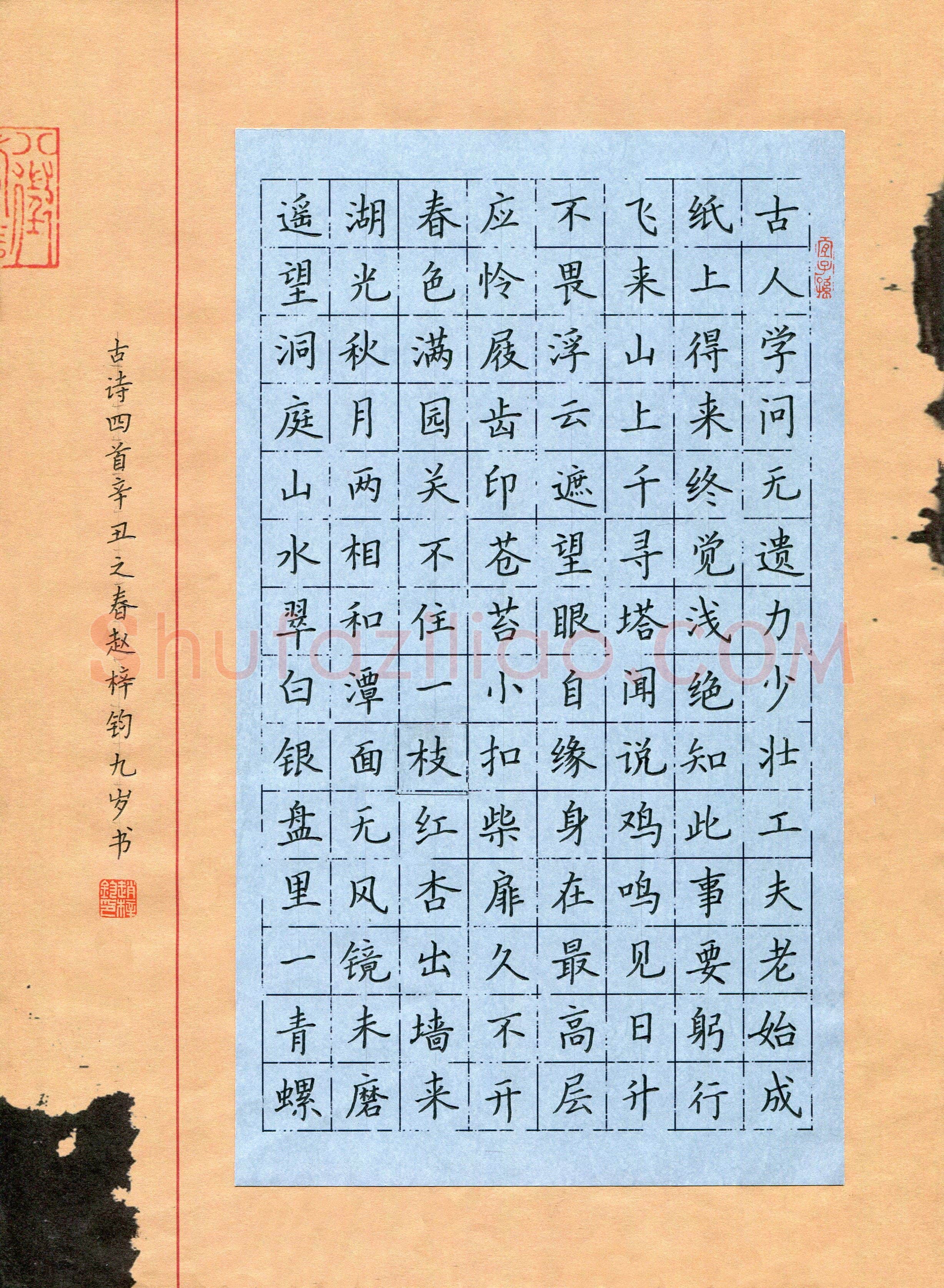 赵梓钧(少儿组 9岁 特等奖)硬笔书法大赛获奖作品,赵梓钧硬笔书法作品