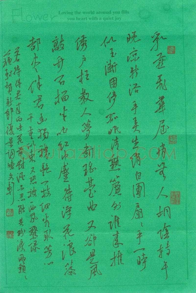 陈文轩硬笔行书苏轼词贺新郎,陈文轩硬笔书法作品