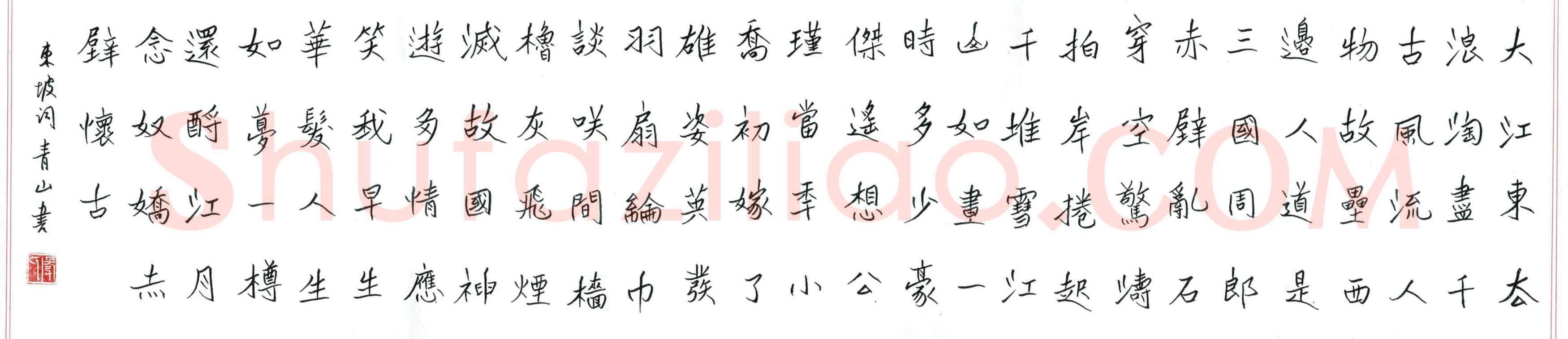张青山硬笔魏碑苏轼词一首,张青山硬笔书法作品