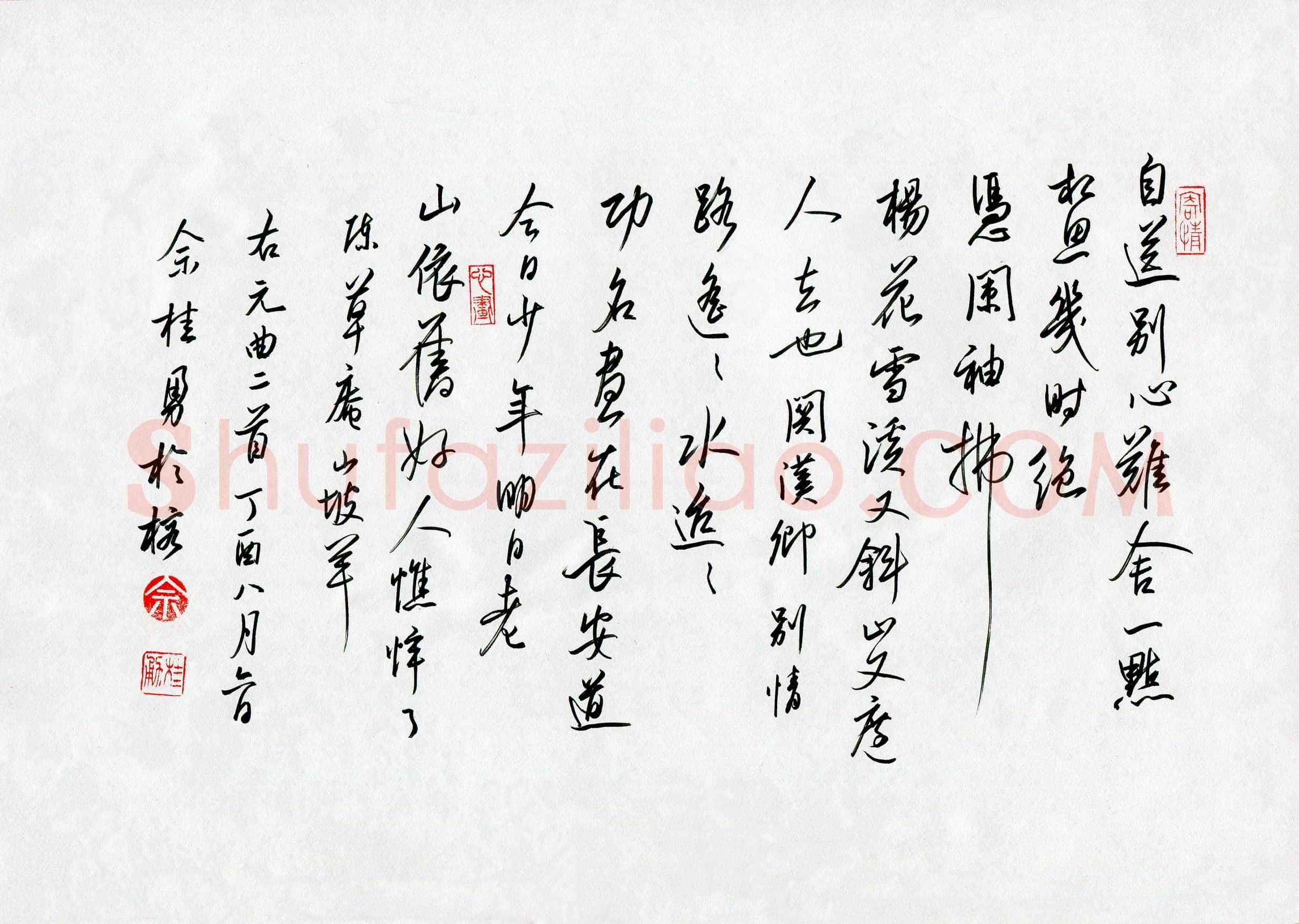 佘桂勇(成人组)硬笔书法大赛入围作品选登,佘桂勇硬笔书法作品