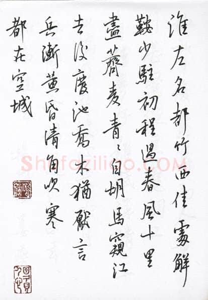 陈文轩硬笔行书宋词小册,陈文轩硬笔书法作品