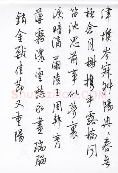 陈文轩硬笔行书宋词小册,陈文轩硬笔书法作品