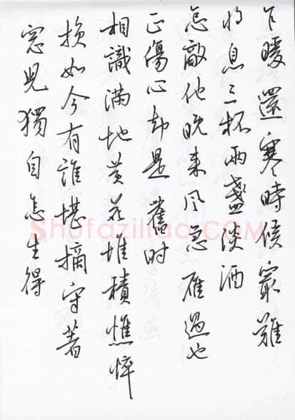 陈文轩硬笔行书宋词小册,陈文轩硬笔书法作品