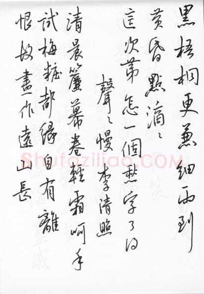 陈文轩硬笔行书宋词小册,陈文轩硬笔书法作品