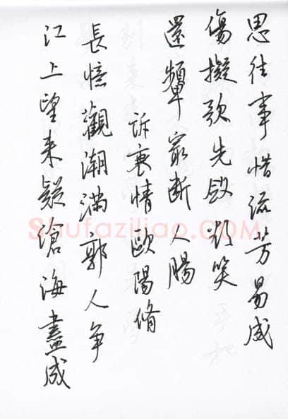 陈文轩硬笔行书宋词小册,陈文轩硬笔书法作品