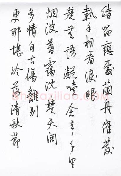 陈文轩硬笔行书宋词小册,陈文轩硬笔书法作品