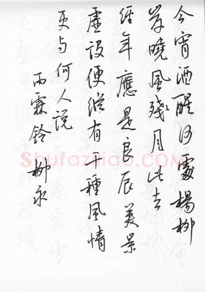 陈文轩硬笔行书宋词小册,陈文轩硬笔书法作品