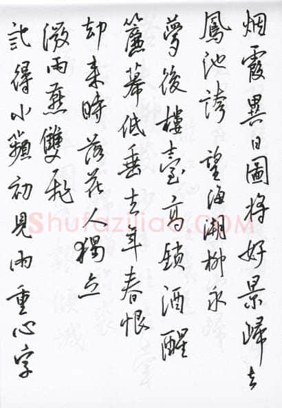 陈文轩硬笔行书宋词小册,陈文轩硬笔书法作品