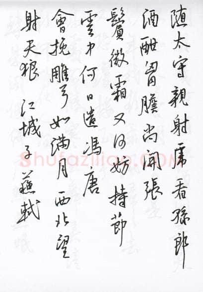 陈文轩硬笔行书宋词小册,陈文轩硬笔书法作品