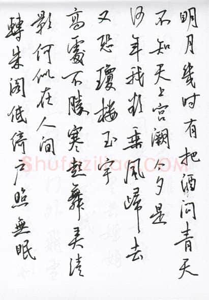 陈文轩硬笔行书宋词小册,陈文轩硬笔书法作品