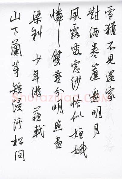 陈文轩硬笔行书宋词小册,陈文轩硬笔书法作品