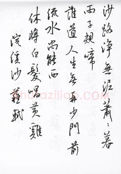 陈文轩硬笔行书宋词小册,陈文轩硬笔书法作品