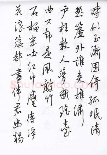 陈文轩硬笔行书宋词小册,陈文轩硬笔书法作品