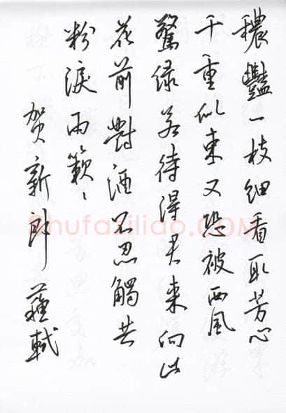 陈文轩硬笔行书宋词小册,陈文轩硬笔书法作品