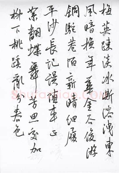 陈文轩硬笔行书宋词小册,陈文轩硬笔书法作品