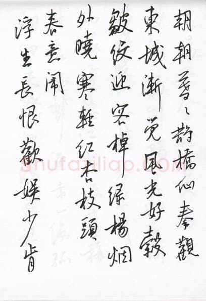 陈文轩硬笔行书宋词小册,陈文轩硬笔书法作品