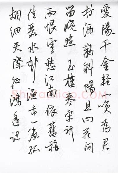 陈文轩硬笔行书宋词小册,陈文轩硬笔书法作品