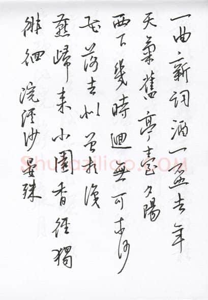 陈文轩硬笔行书宋词小册,陈文轩硬笔书法作品