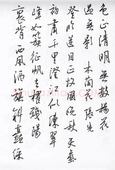 陈文轩硬笔行书宋词小册,陈文轩硬笔书法作品