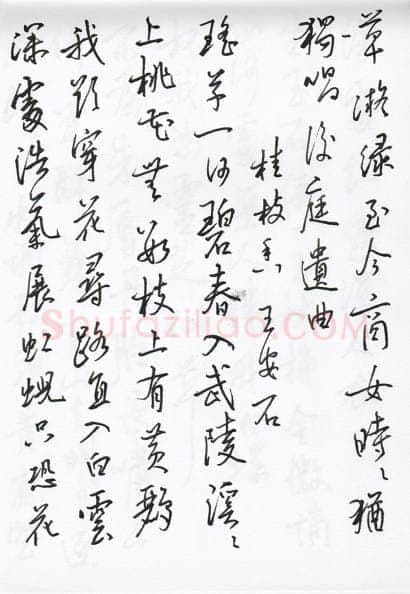 陈文轩硬笔行书宋词小册,陈文轩硬笔书法作品