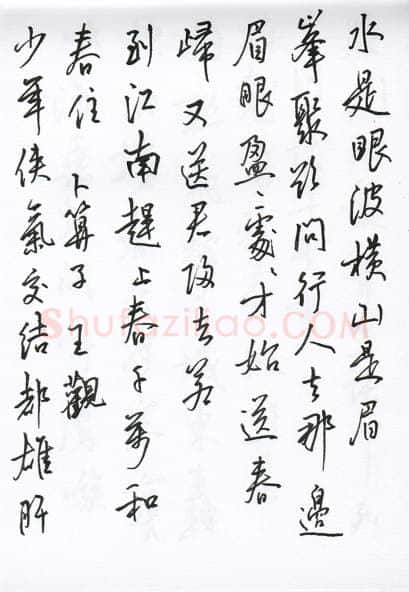 陈文轩硬笔行书宋词小册,陈文轩硬笔书法作品
