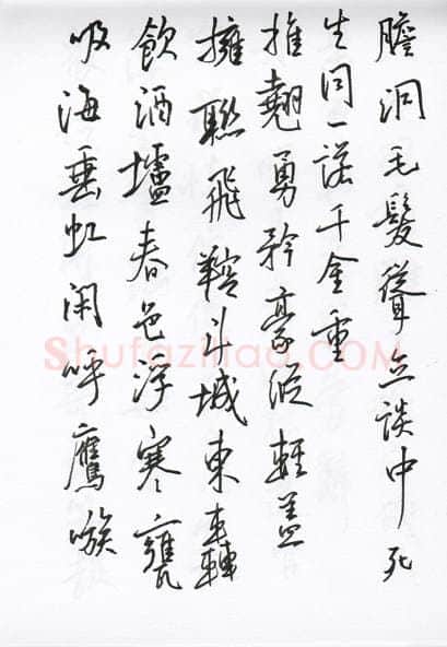 陈文轩硬笔行书宋词小册,陈文轩硬笔书法作品