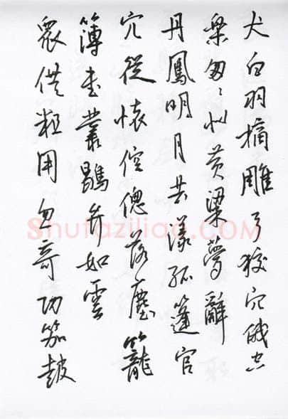 陈文轩硬笔行书宋词小册,陈文轩硬笔书法作品