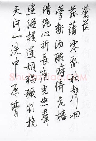 陈文轩硬笔行书宋词小册,陈文轩硬笔书法作品