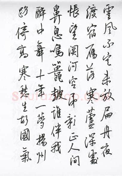 陈文轩硬笔行书宋词小册,陈文轩硬笔书法作品