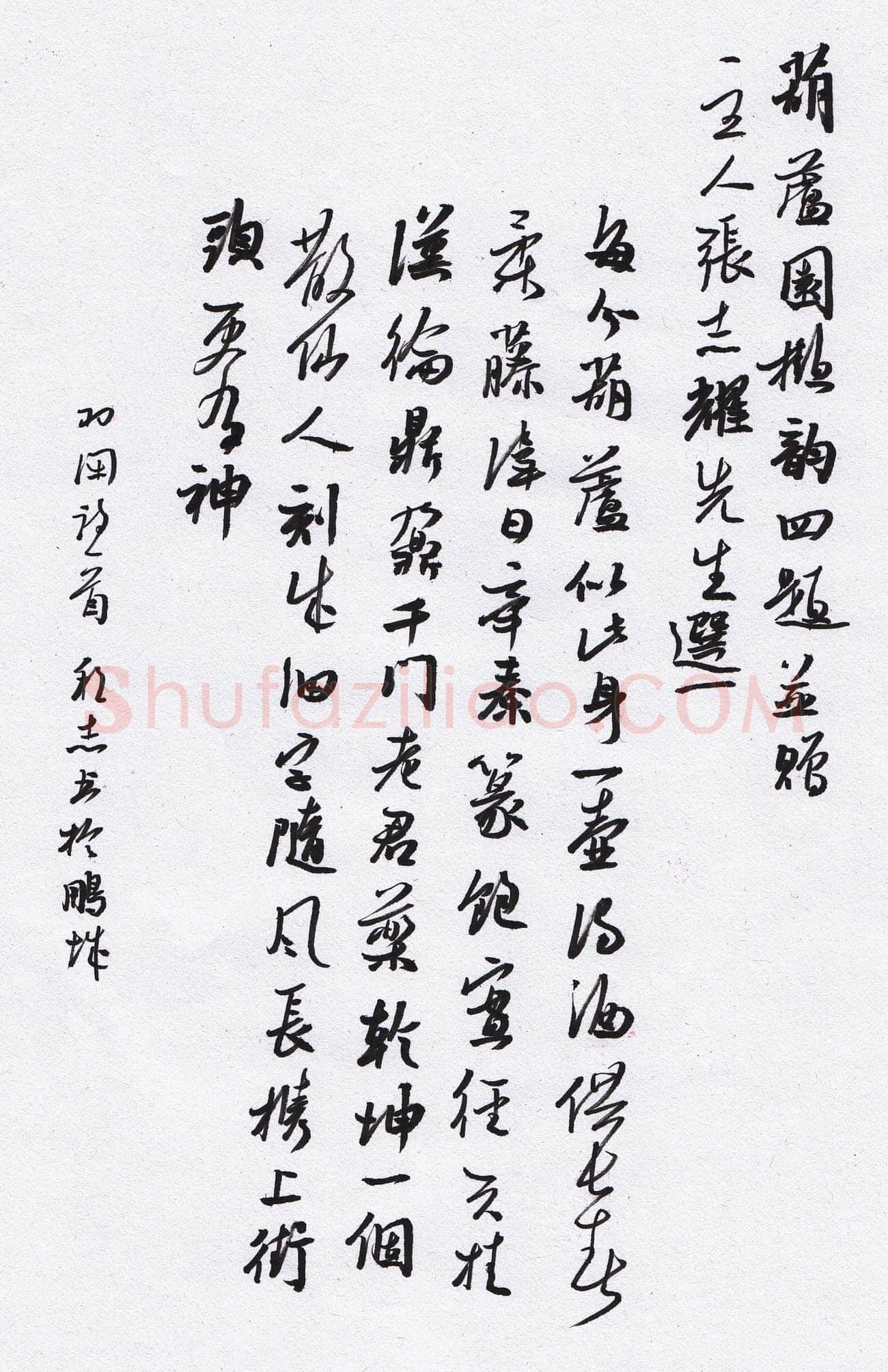 许邦志硬笔行书羽闲诗一首,许邦志硬笔书法作品
