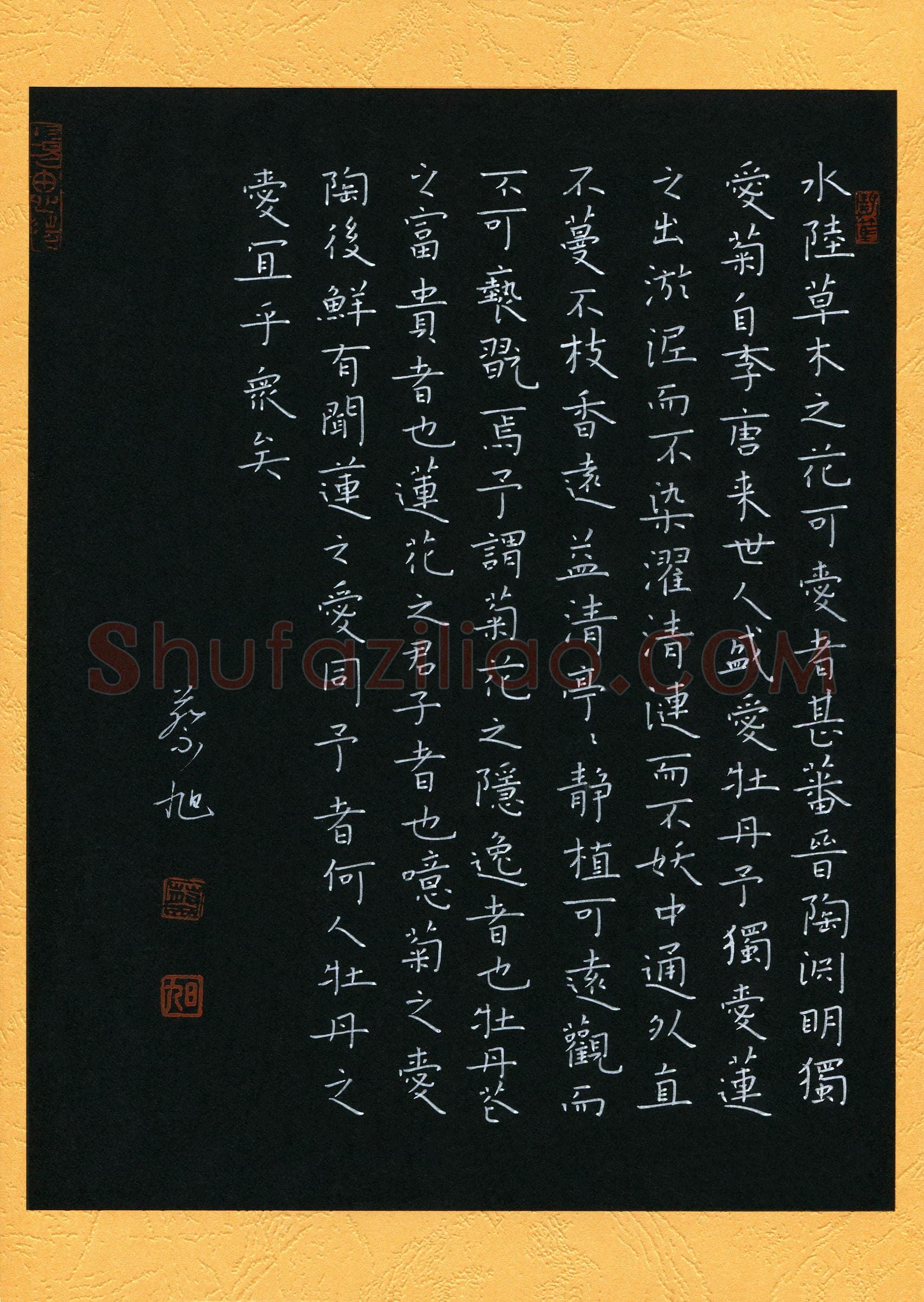 蔡旭(成人组)硬笔书法大赛入围作品选登,蔡旭硬笔书法作品
