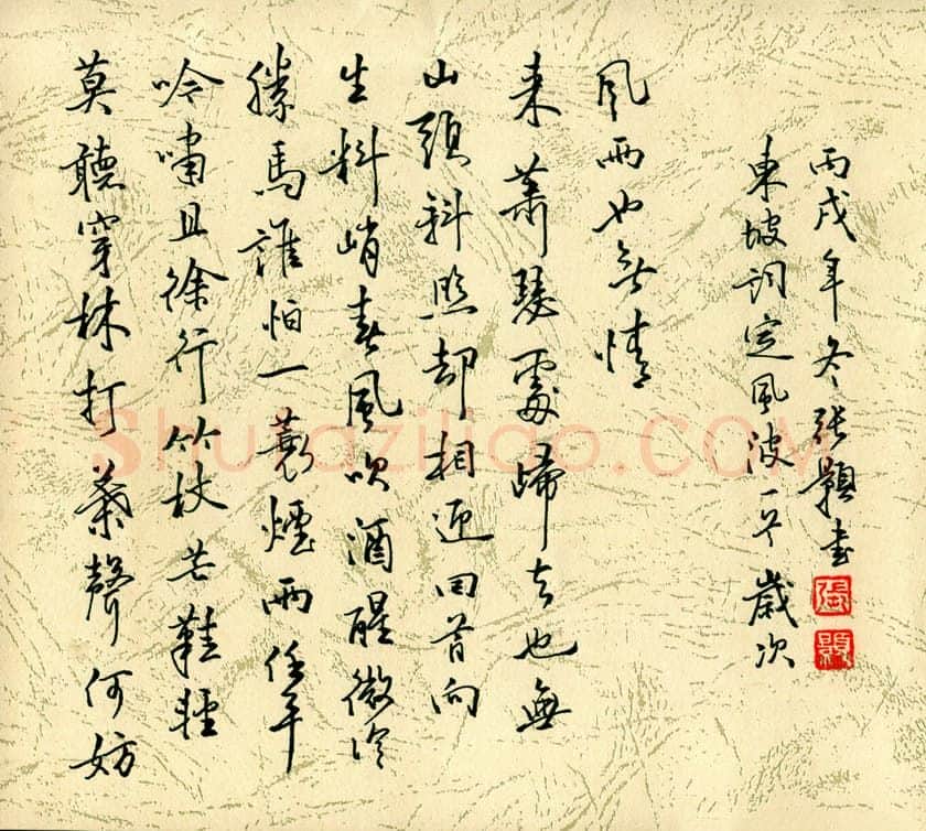 张颢硬笔行书东坡词定风波一首,张颢硬笔书法作品