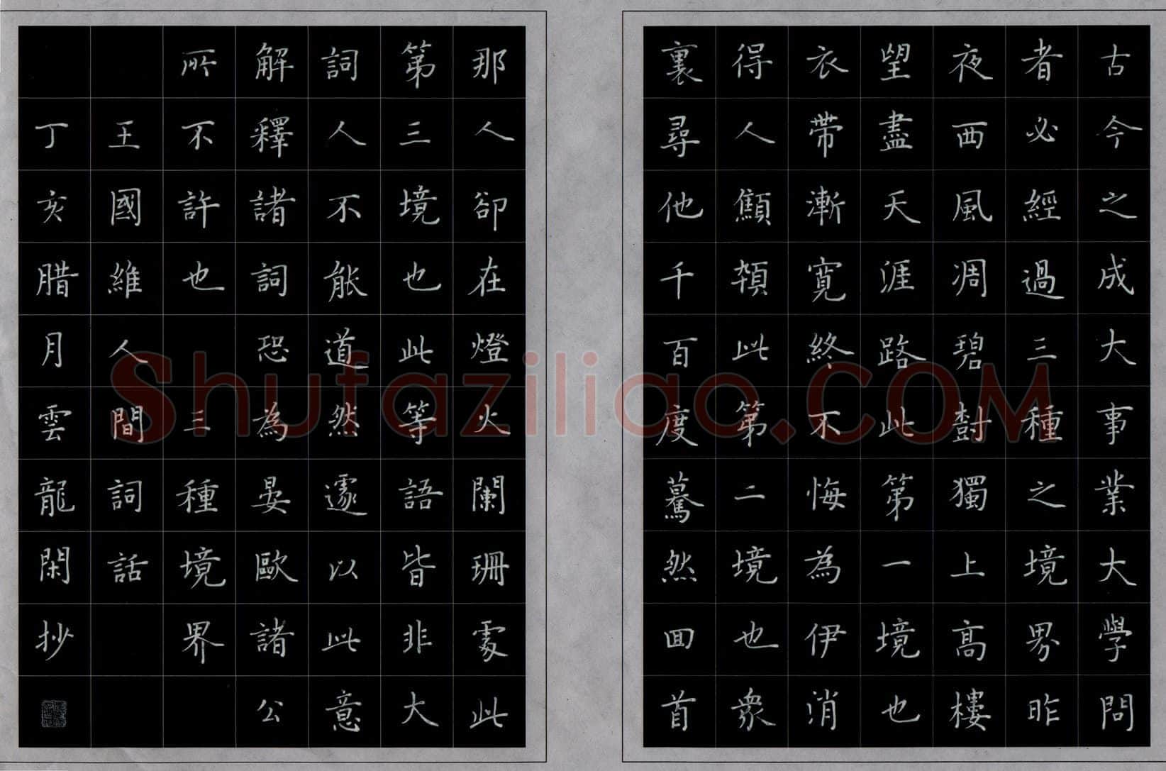 罗云龙硬笔楷书王国维人间词话,罗云龙硬笔书法作品