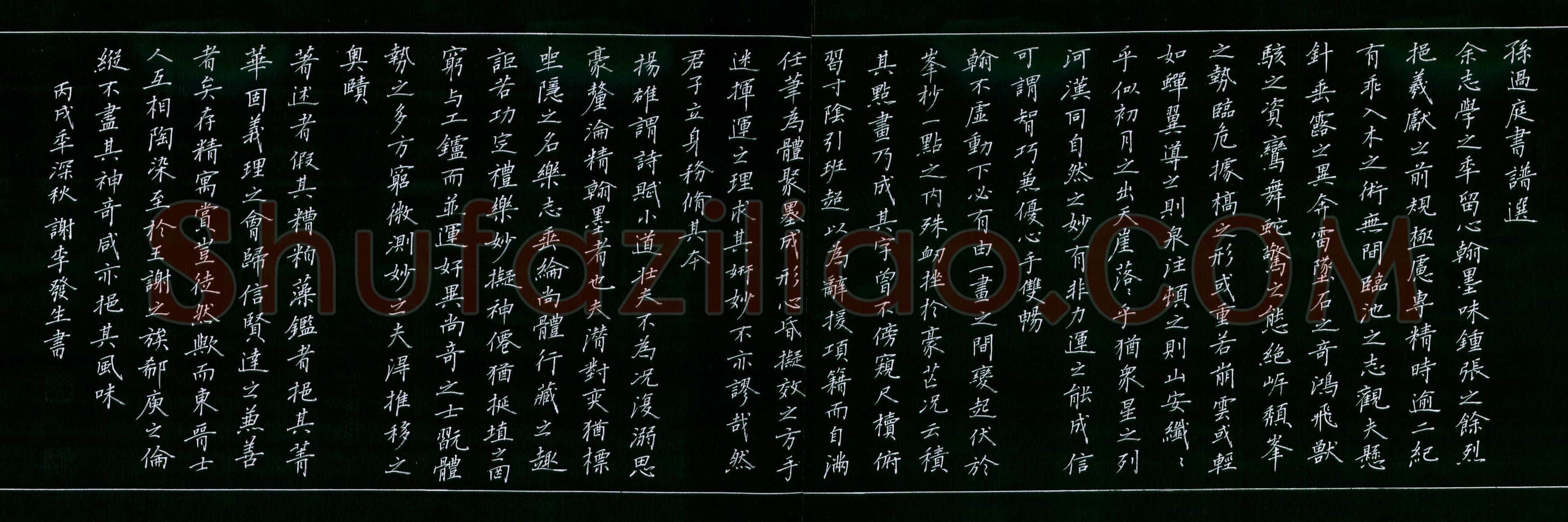 谢李发生硬笔楷书孙过庭书谱选,硬笔书法作品