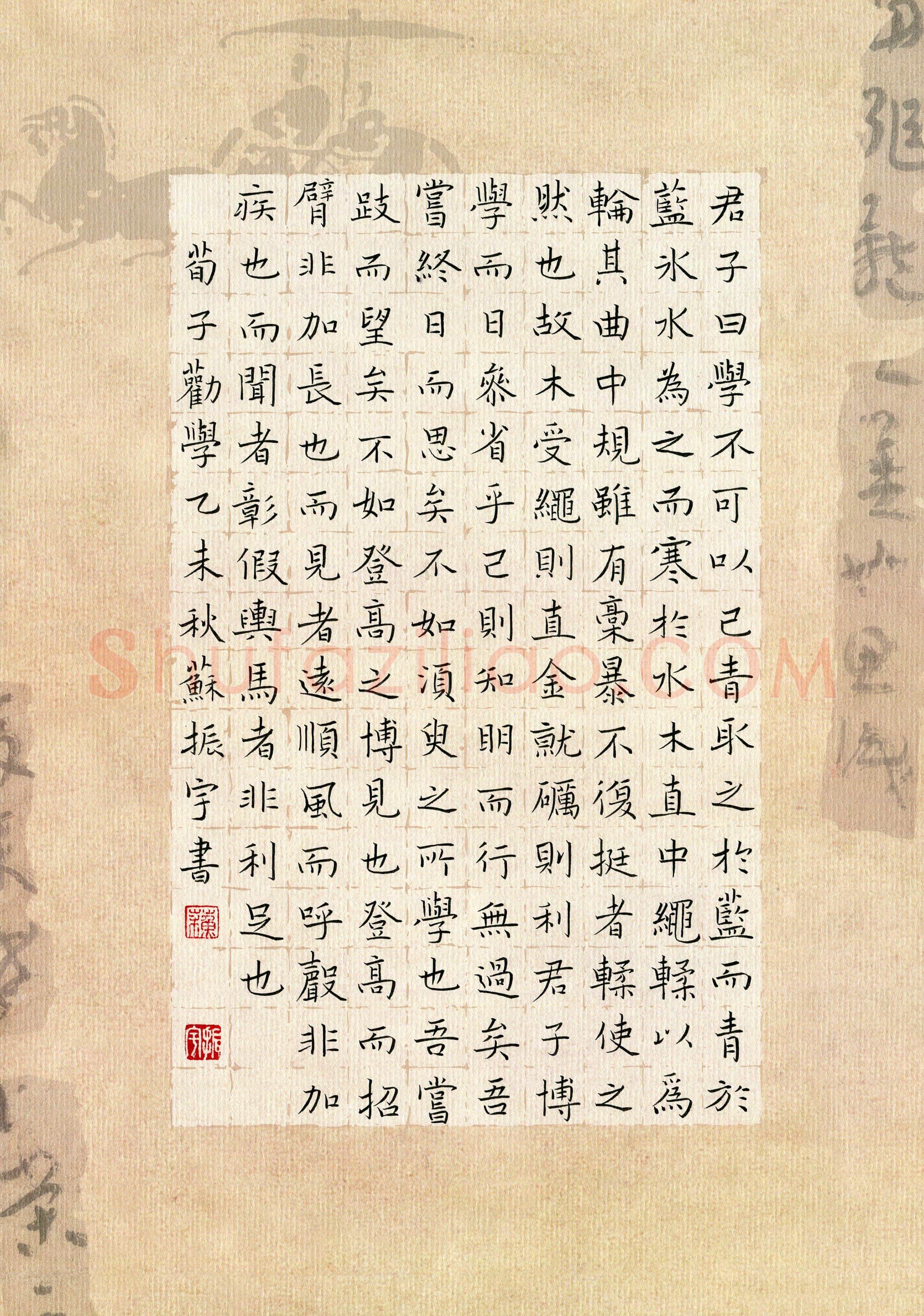 苏振宇硬笔楷书荀子劝学,苏振宇硬笔书法作品