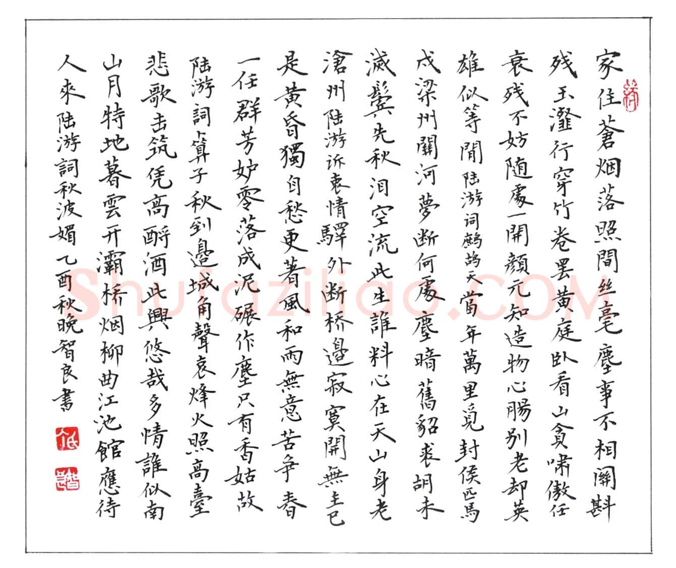 丁智良硬笔楷书陆游词两首,丁智良硬笔书法作品