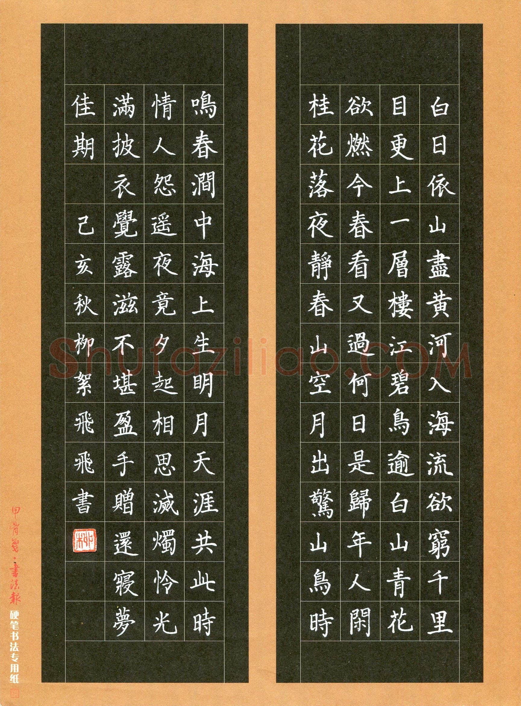 柳絮飞飞(少儿组 11岁 特等奖)硬笔书法大赛获奖作品,柳絮飞飞硬笔书法作品