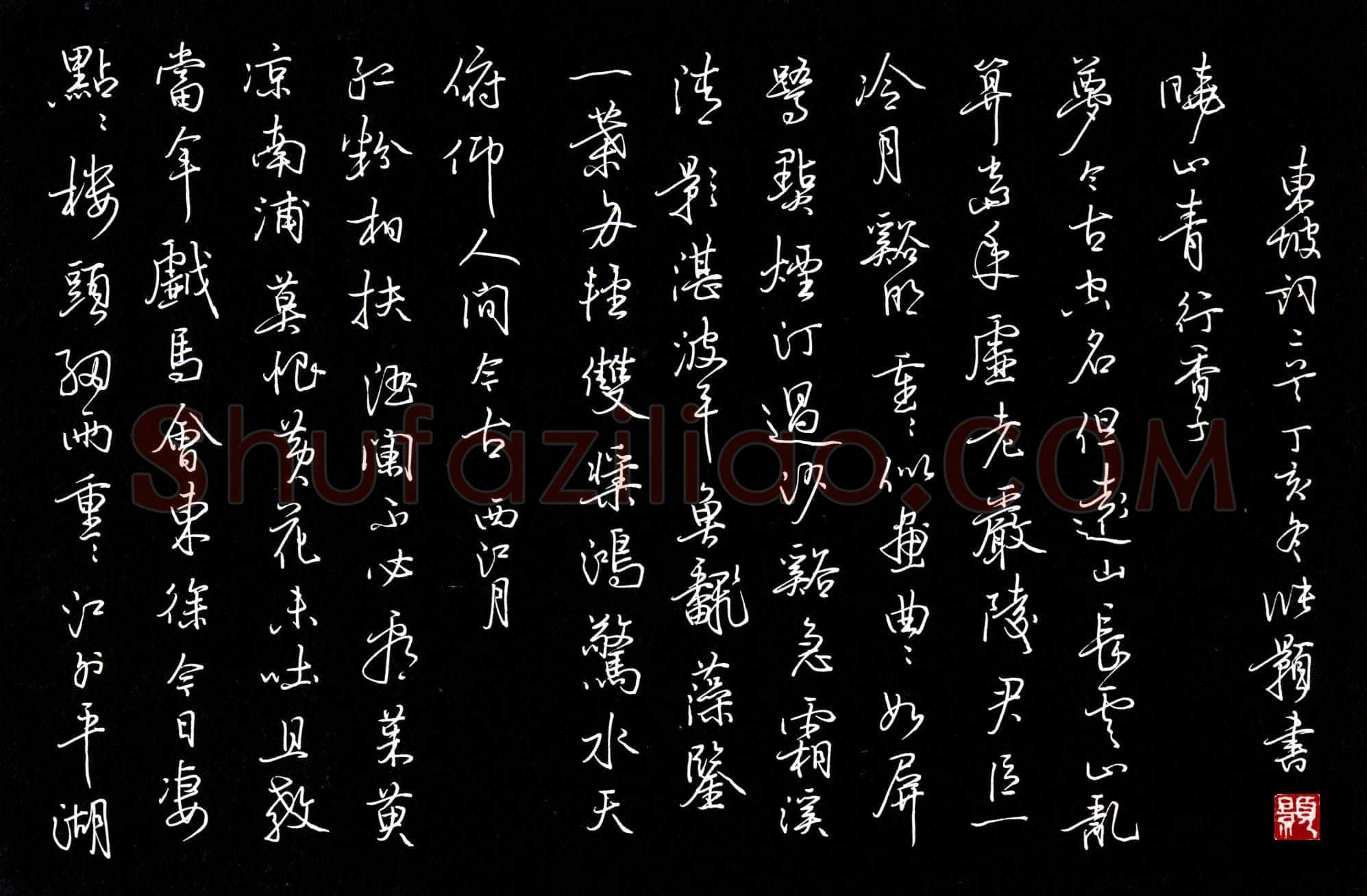 张颢硬笔行书东坡词二首,张颢硬笔书法作品