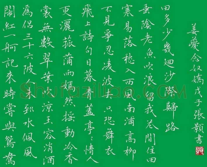 张颢硬笔楷书姜夔念奴娇,张颢硬笔书法作品