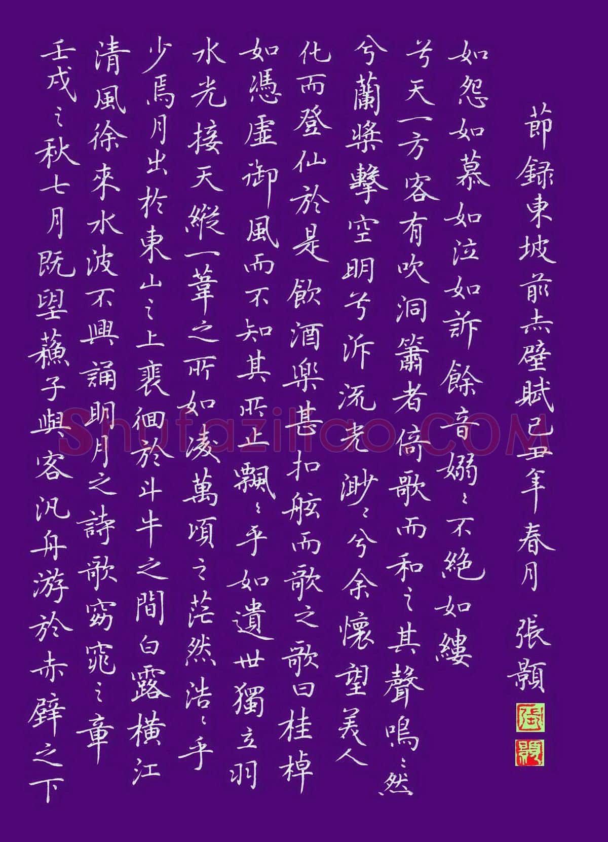 张颢硬笔楷书节录东坡赤壁赋,张颢硬笔书法作品